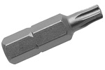Apex 1/4'' Hex Insert Torx Bits - Tamper Resistant (with Hole Center Post)